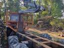 Forestry