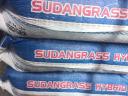 Sudanese grass Mataco