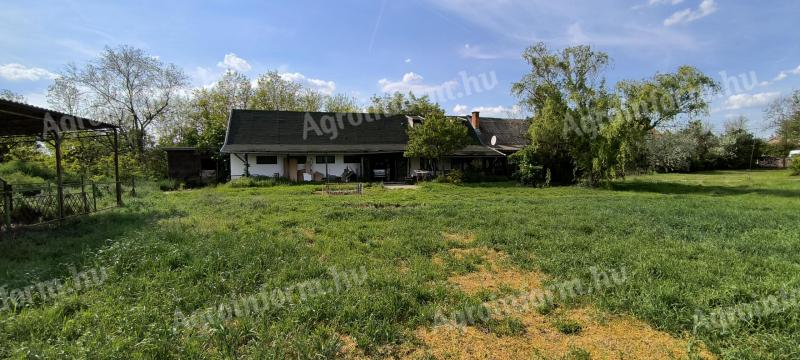 Old horse farm in Tiszainoka, suitable for farming, for sale
