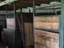 Old horse farm in Tiszainoka, suitable for farming, for sale