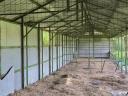 Old horse farm in Tiszainoka, suitable for farming, for sale