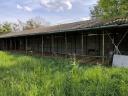 Old horse farm in Tiszainoka, suitable for farming, for sale