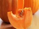 Oat seed: Groot Etampes