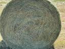 Alfalfa bale with hay