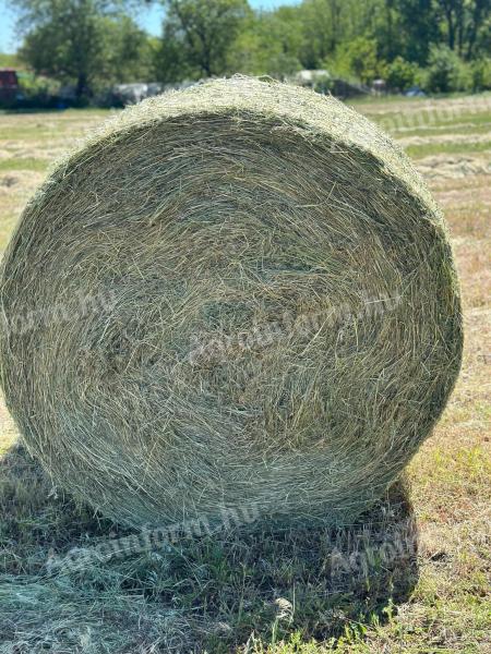 Alfalfa bale with hay
