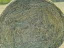 Alfalfa bale with hay