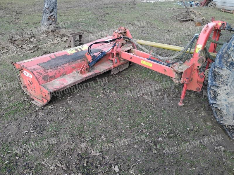 Maschio giraffa 210