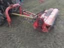 Maschio giraffa 210