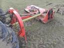 Maschio giraffa 210