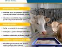 Euro Lix Ultra Beef - Wiadro do lizania z efektem odstraszania owadów 24 kg