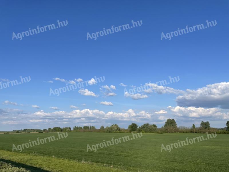 Ackerland zu verkaufen