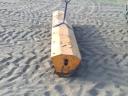 Amazone 3 metre tine roller, rotary harrow, rotary tiller, gruber