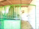 Horse farm and working chicken house with farm buildings, apartment for sale
