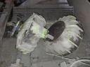 Claas combine hubs + Linde gearbox