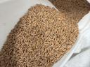 Spelt for sale, cleaned and hulled