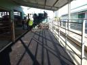 Road construction, asphalting, paving, demolition of buildings nationwide, with guarantee
