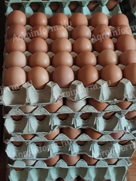 Eggs for sale