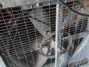 Vysoce výkonný skříňový průmyslový ventilátor, 2 ks