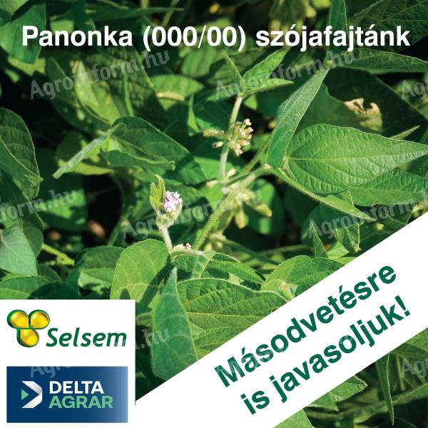 SELSEM PANONKA (000/00 Maturity group) Soybean Seed 90% Germ