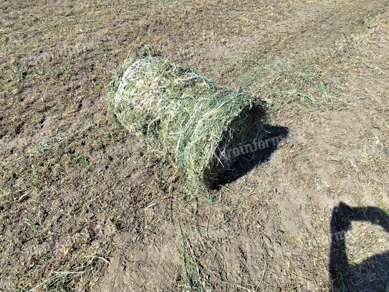 Easy to use mini circular lucerne hay for sale