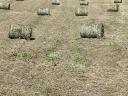 Easy to use mini circular lucerne hay for sale