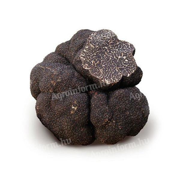 Truffles