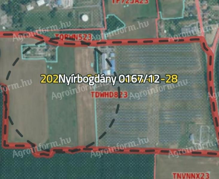 Ackerland beim Werk Nyírbogdány zu verkaufen