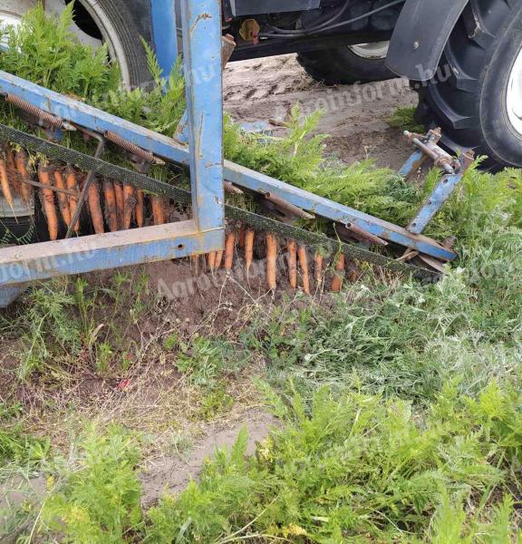 Asa Lift carrot combo