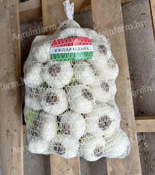 Frischer grüner gehackter Knoblauch