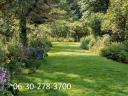 Gartenpflege, Rasenmähen, Baumfällen und andere Gartenarbeiten in Budaörs, Érd, Diósd und Umgebung