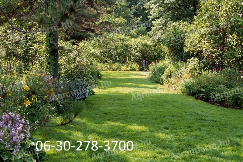 Gartenpflege, Rasenmähen, Baumfällen und andere Gartenarbeiten in Budaörs, Érd, Diósd und Umgebung