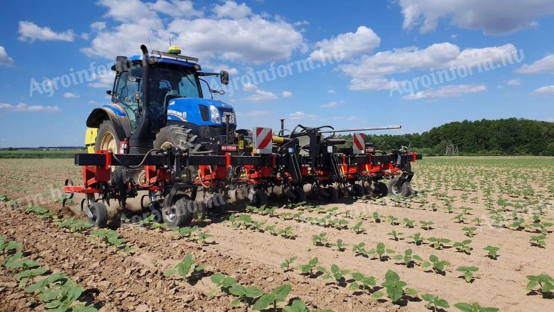 Quivogne MAXIPLANT M8-H (8 row) row cultivator