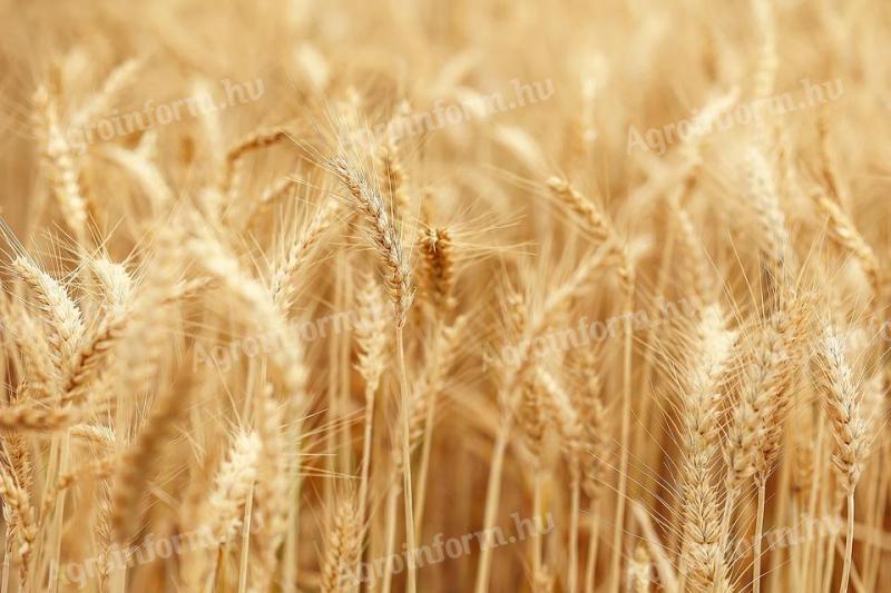 Agricultural machine operator jobs