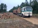 MAN TGA 6x6 crane truck (log carrier)