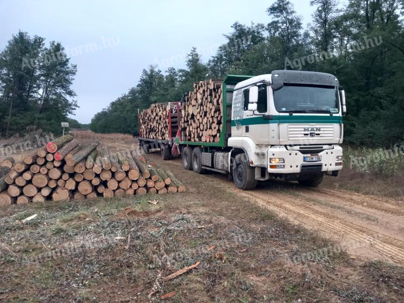 MAN TGA 6x6 crane truck (log carrier)