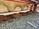 Kuhn GMD 4410 scythe