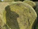 Packaged alfalfa bales for sale