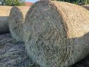 Lucerna bale