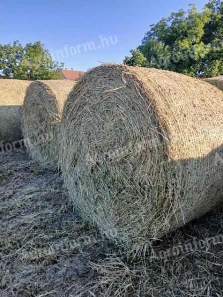 Lucerna bale