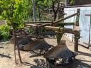 Triple IH plough for sale