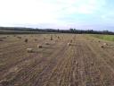 Lucerna small cube bale for sale