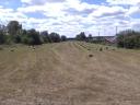 Lucerna small cube bale for sale