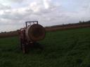 Lucerna small cube bale for sale