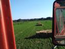 Lucerna small cube bale for sale