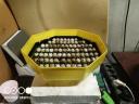 Quail eggs and Japanese quail