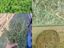 Seno, lucerka, slama, senaža