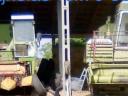 1990 Claas Cosmos combine harvester, 2 pieces