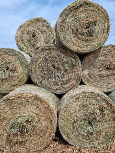 Alfalfa bale for sale