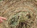 Alfalfa bale for sale