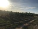 Weinbaugebiet